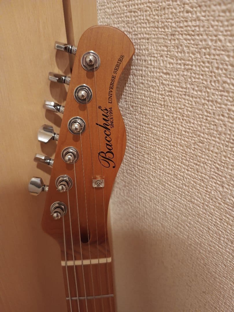 BACCHUS BTE-2-RSM/M DLPB テレキャスタータイプ