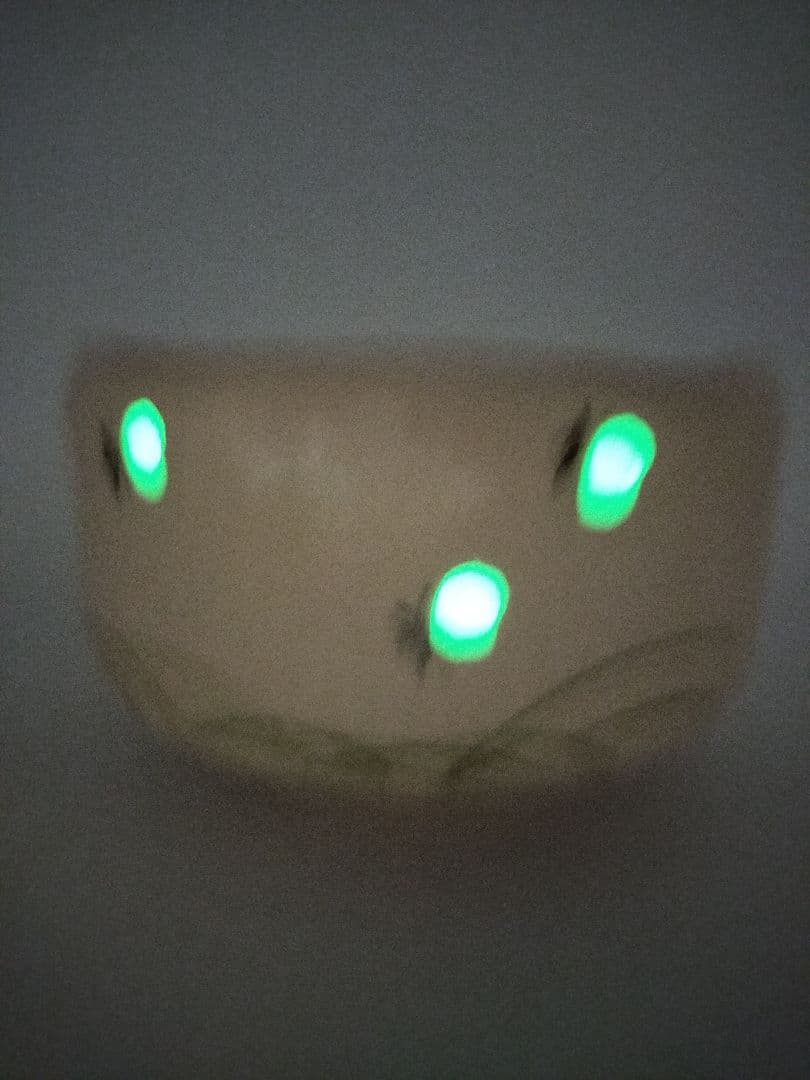 c664 茶碗 白楽 蛍火(闇光) 桂窯 伊東桂楽 木箱 茶道具 古物