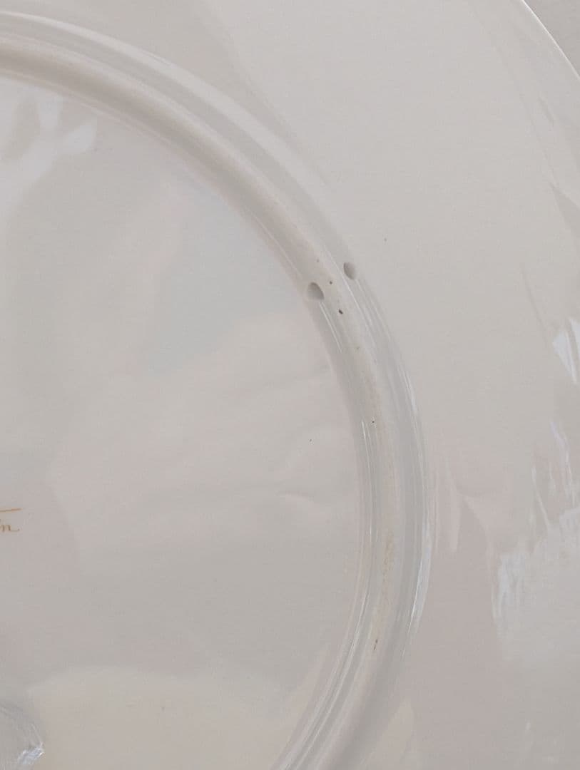 【ノリタケスタジオコレクション】手描き鴨絵皿 Y.Ｎoguchi.