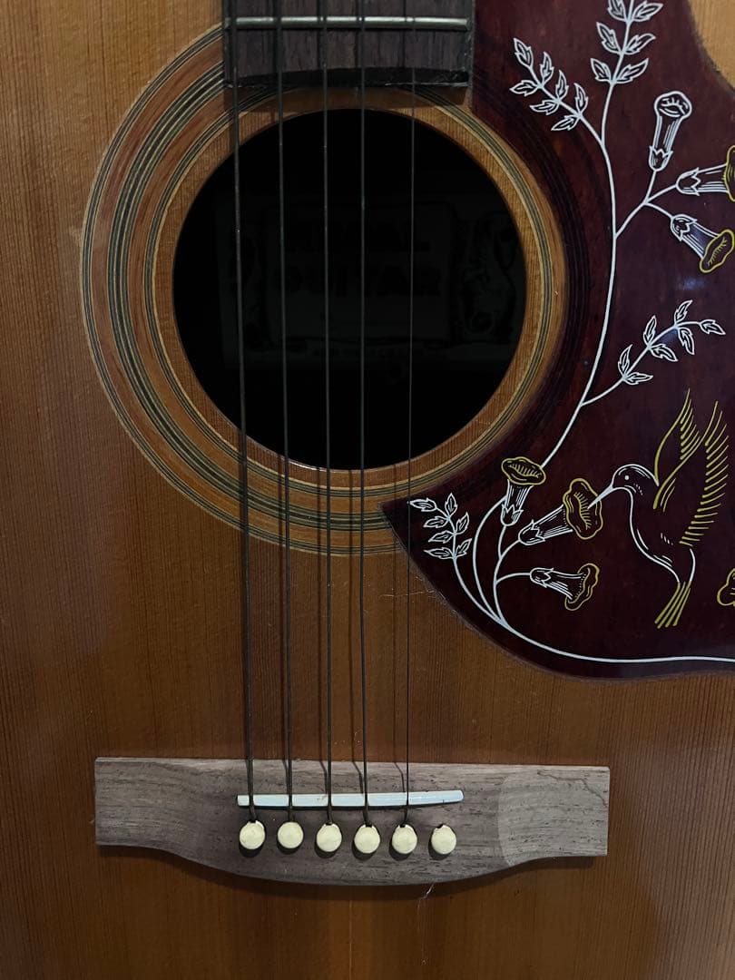 REGAL GUITAR リーガルギター