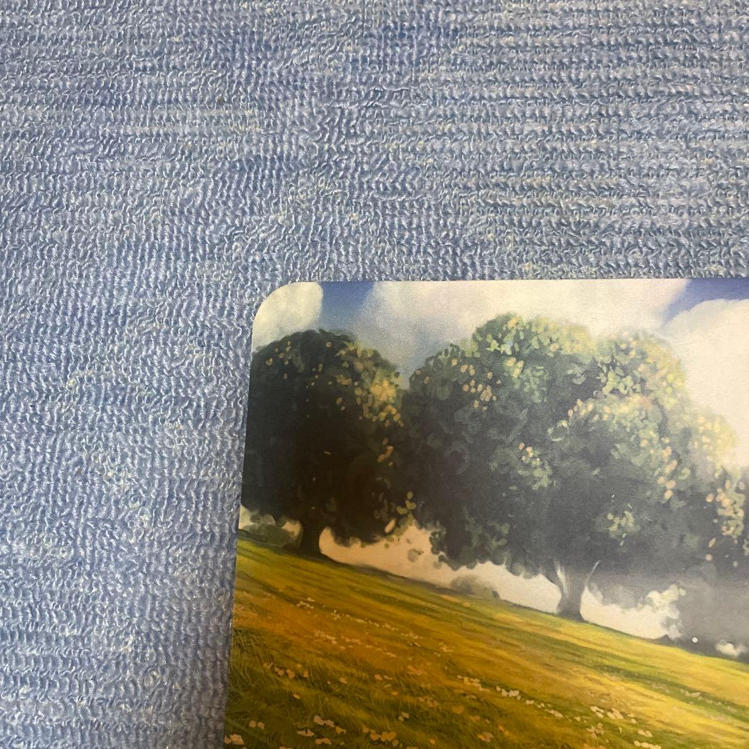 MTG 平地 John Avon サイン入り プレイマット