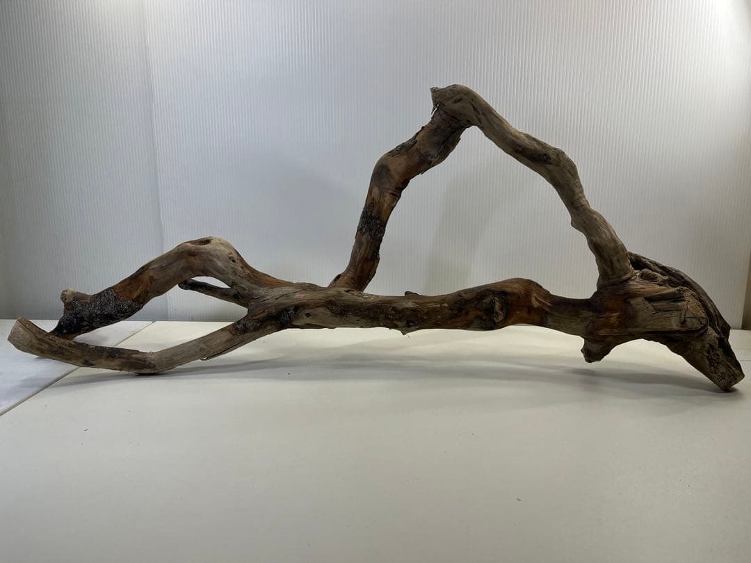 k36特大流木 アク抜き済み 爬虫類シェルター レイアウト用 登り木 インテリア