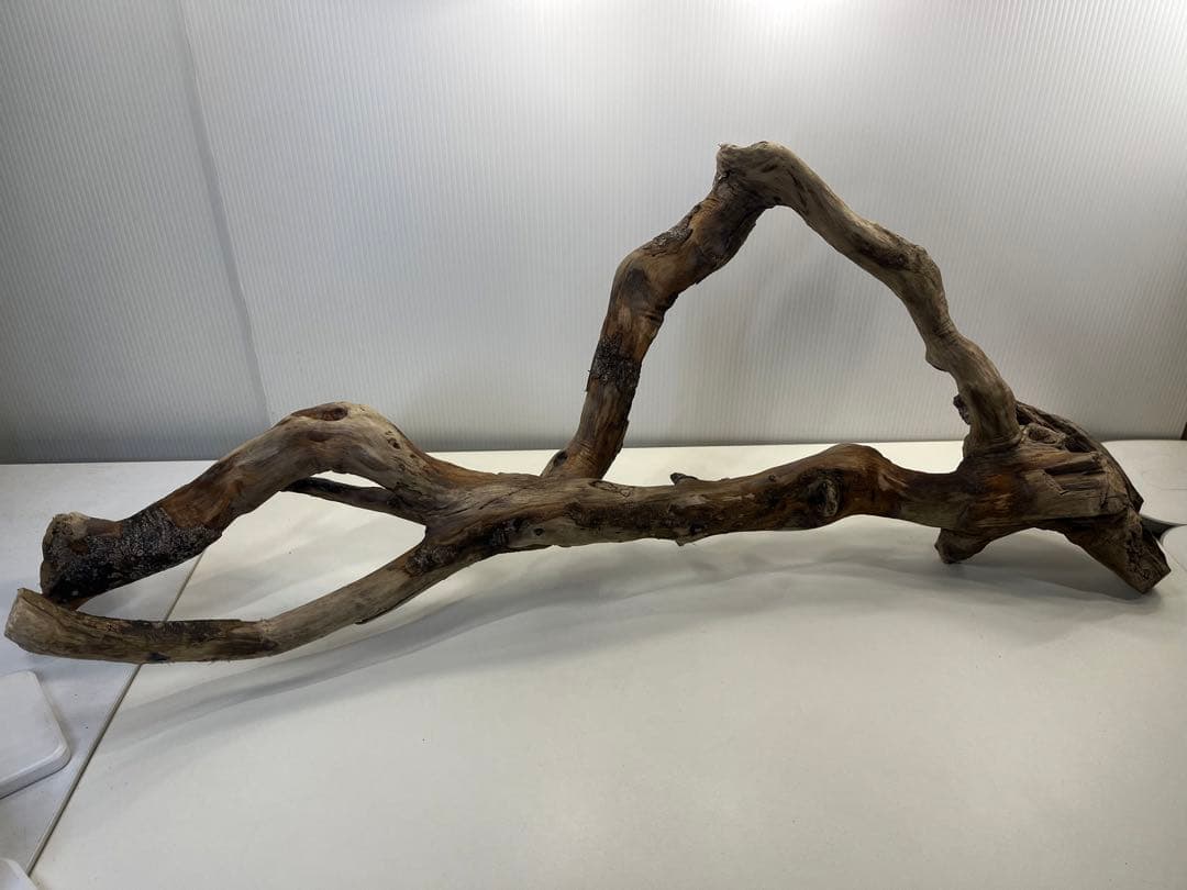 k36特大流木 アク抜き済み 爬虫類シェルター レイアウト用 登り木 インテリア