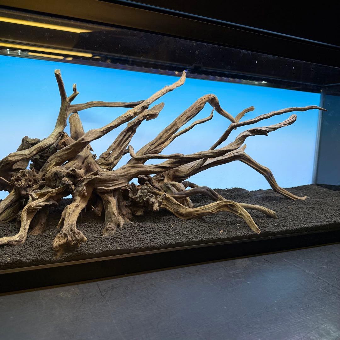 MSRW-6927 天然流木レイアウトセット　スリムウッド　アクアリウム