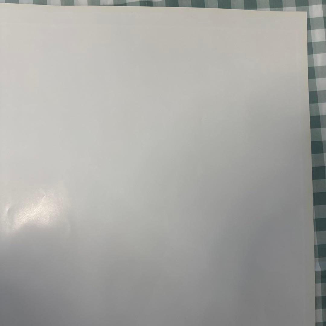 貴重・レア　ストリートファイター　コレクション　販促用　ポスター