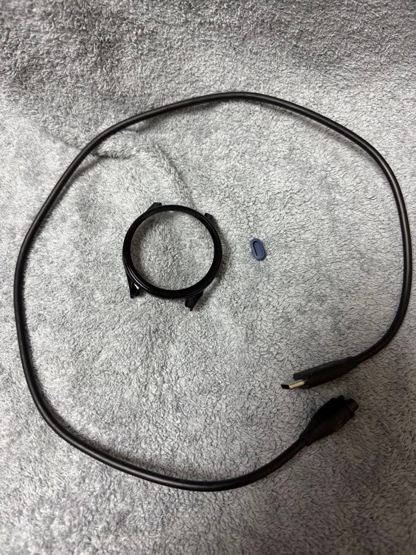 Garmin Approach S44／ゴルフGPSウォッチ/ガーミン ブラック