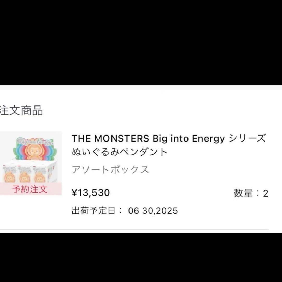 Big into EnergyラブブぬいぐるみID SECRET