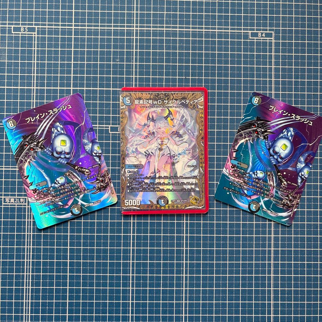 金トレジャーサイクルぺディア　ブレスラ2枚付き