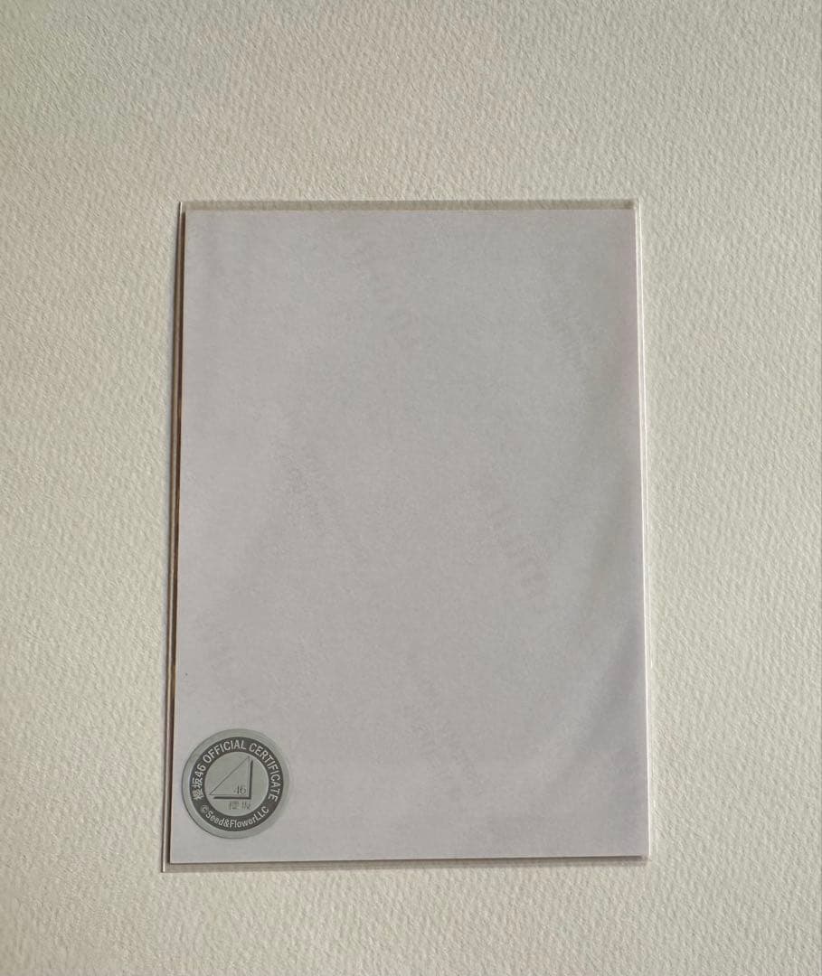 櫻坂46 向井純葉 直筆 生写真 クリスマス衣装2023 ヨリ