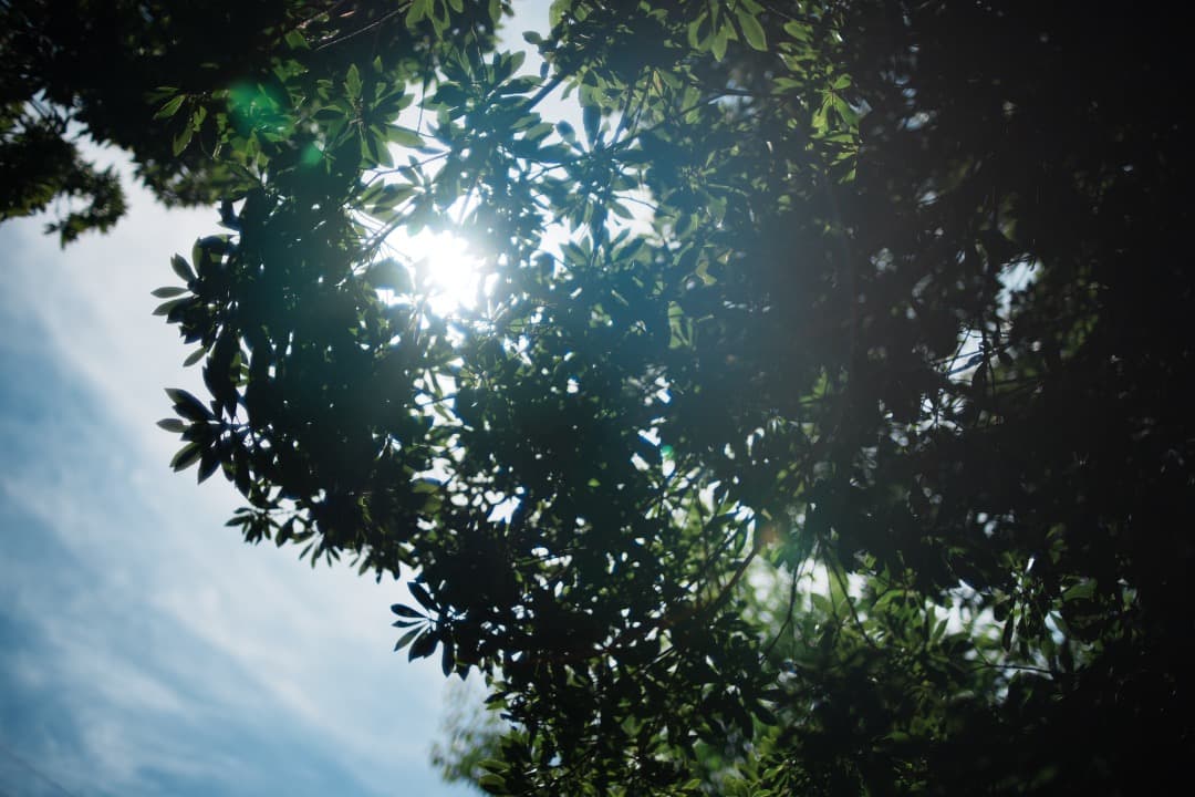 【極美品】動作◎ ニコン　Ai Nikkor 35mm F1.4 729