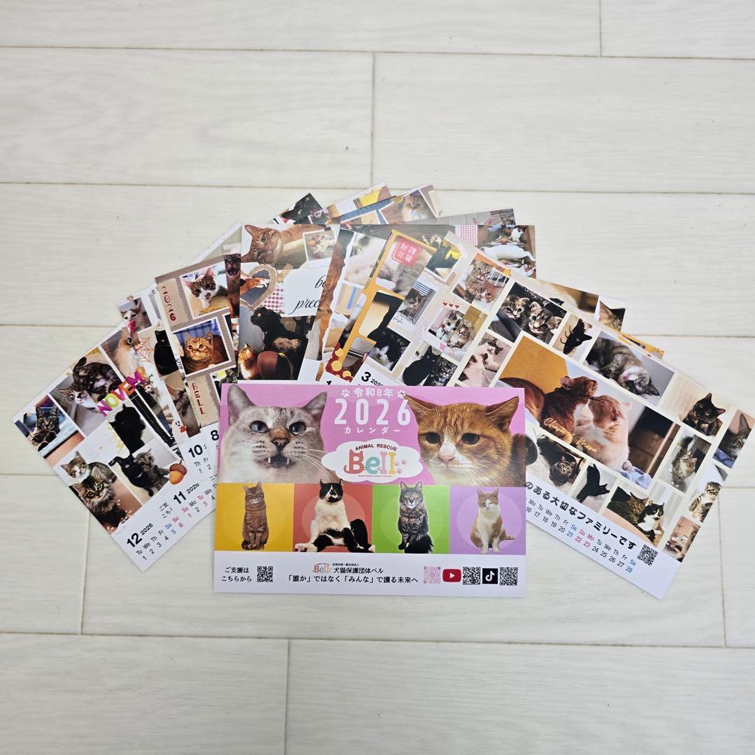 ②《猫》 卓上チャリティーカレンダー10枚セット