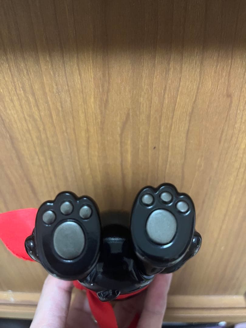 リアルヘッド　フォーチュンキッド