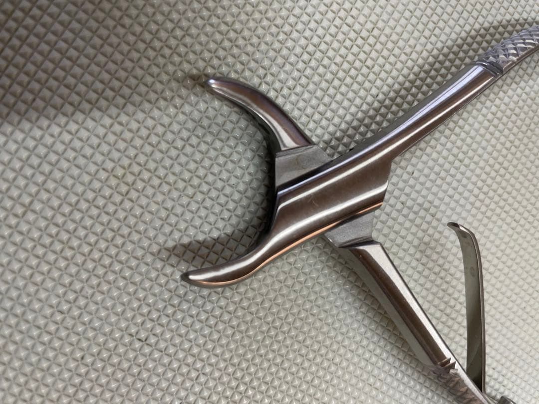 ペット用歯石取りペンチ 約15cm と　スケーラー