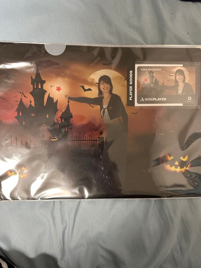 坂口優希恵 ダーツライブカード＆ファイルセット