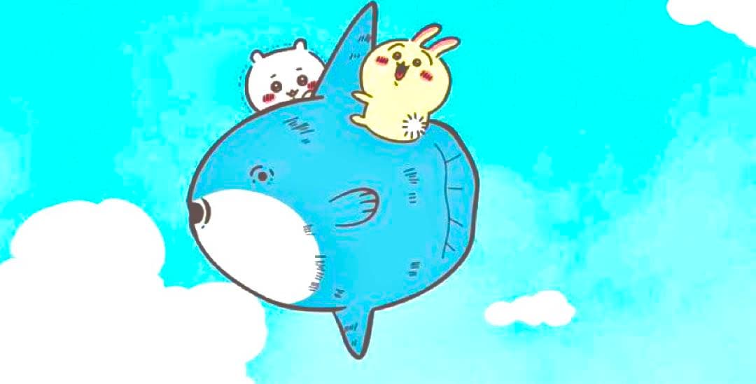 【 クマさん ご確認用 】