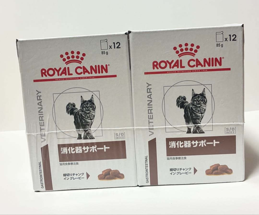  CANIN 消化器サポート 85g x 12 2ケース
