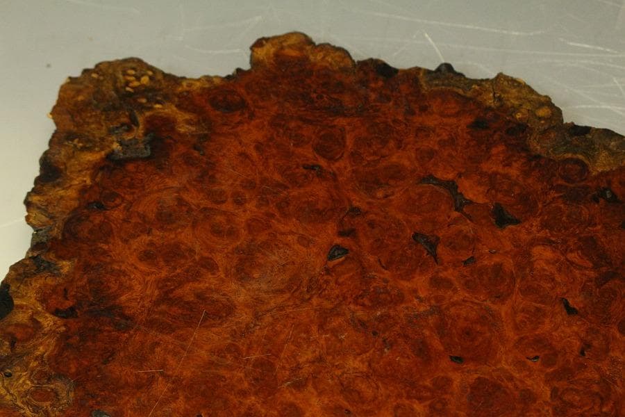 葡萄木 自然木 瘤 敷板 78cm×56cm 花梨 紅木 銘木(A466)