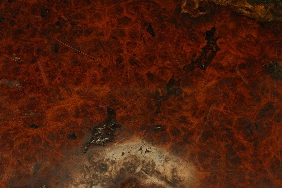 葡萄木 自然木 瘤 敷板 78cm×56cm 花梨 紅木 銘木(A466)