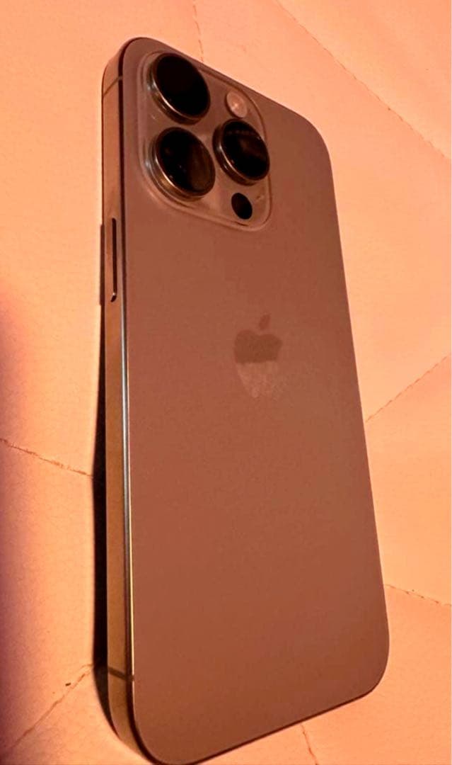 か*し様 iPhone15Pro本体＋純正充電器＋Apple純正イヤホン付き