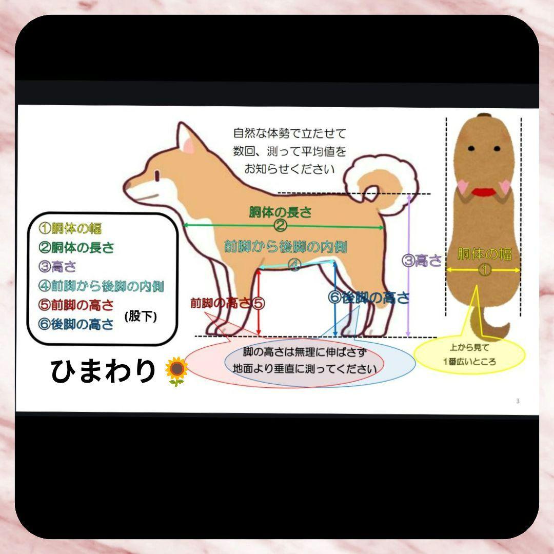 ワンちゃん4輪　リハビリ　食事補助　犬用車椅子　体制維持補助　犬の歩行器