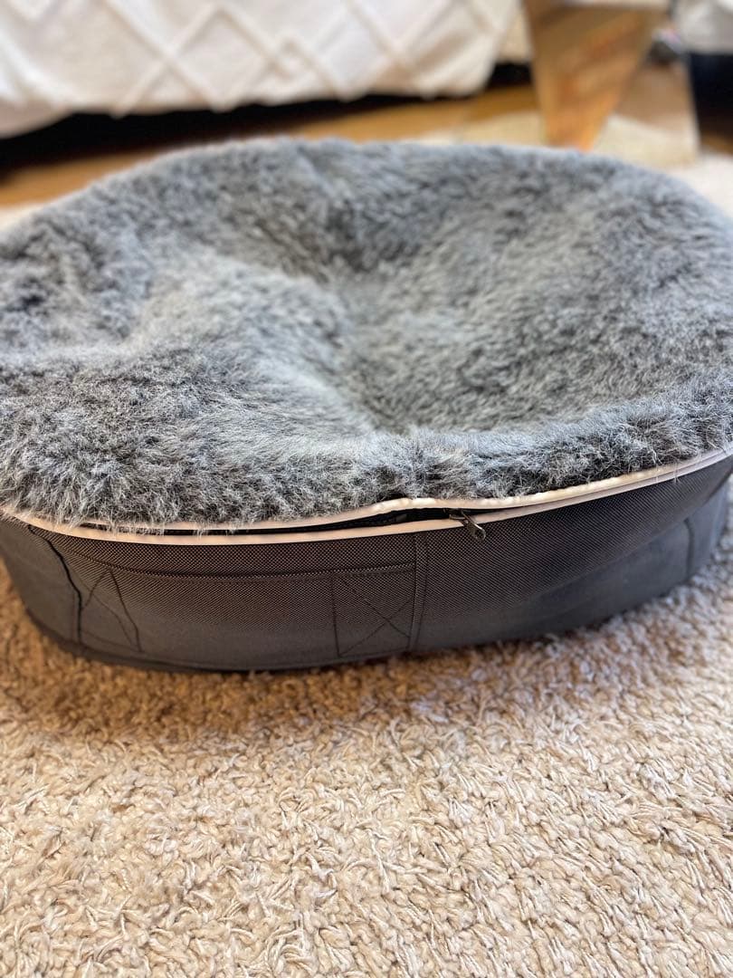 Ambient Lounge pet アンビエントペットラウンジSサイズ　犬