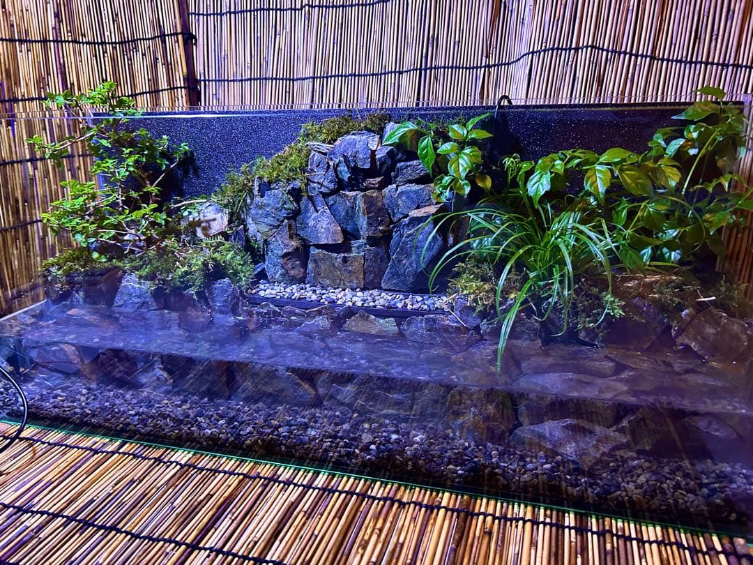 水の流れる滝テラリウム水槽　オールガラス60