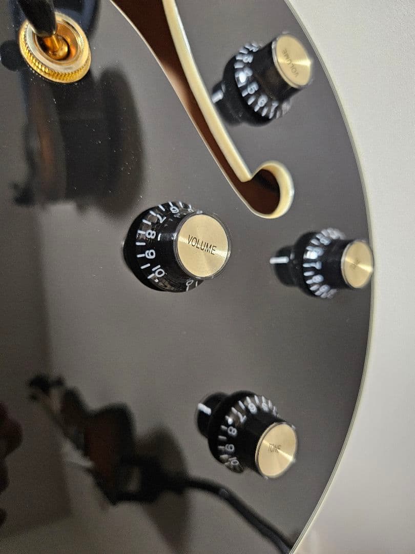 Sire 335 Larry Carltonブラック