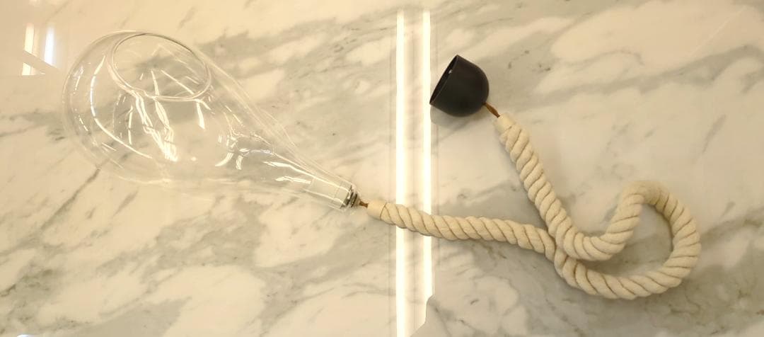 〈即購入可・現状渡し〉ボタニックライト ハンギング ライト 点灯確認済 電球無