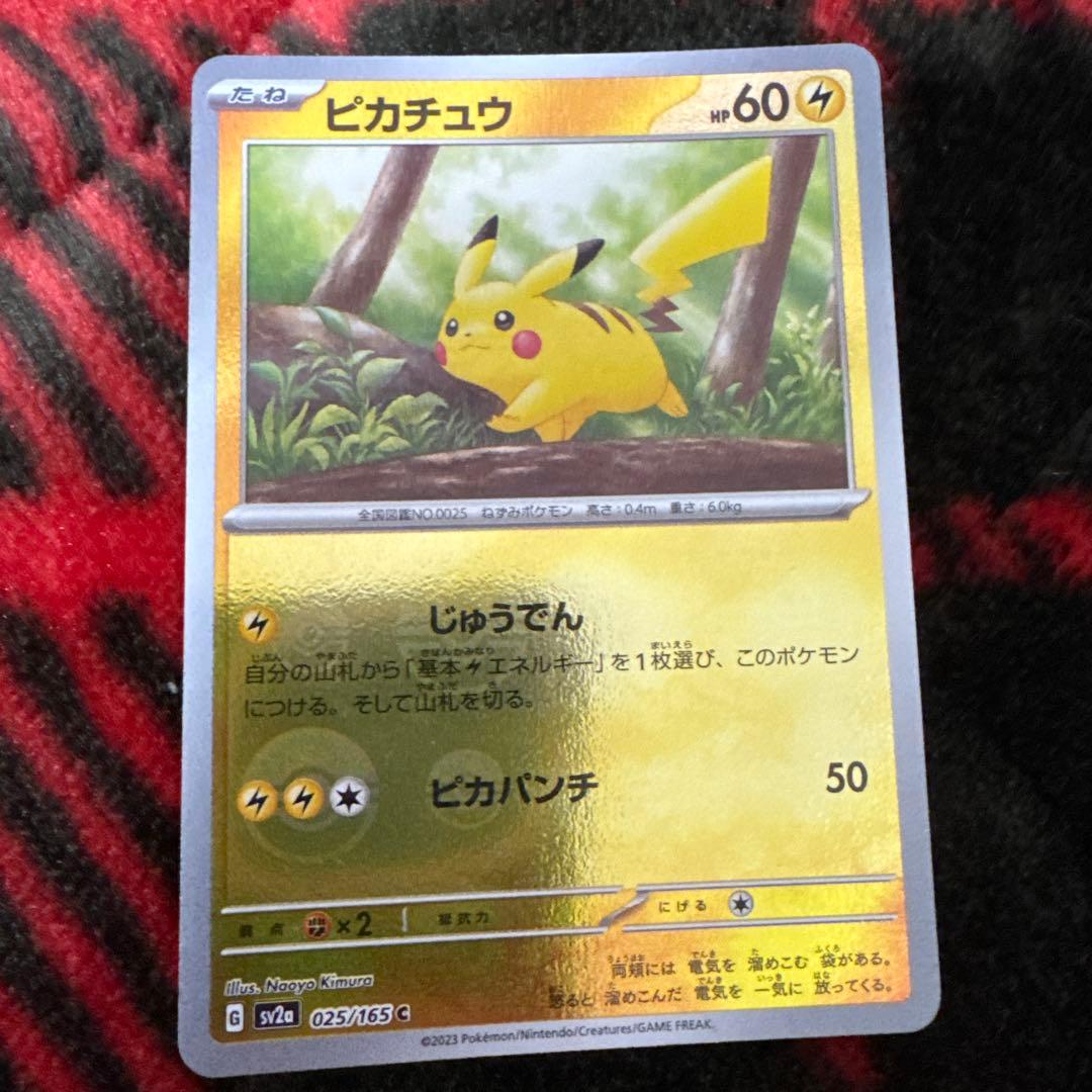 ポケカ　ピカチュウと愉快な仲間たちセット　※バラ売り不可