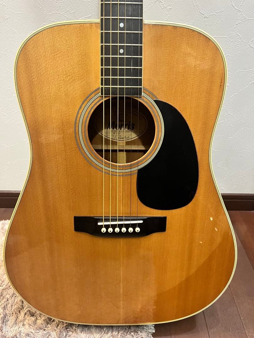 Morris W20 ギター アコースティックギター モーリス