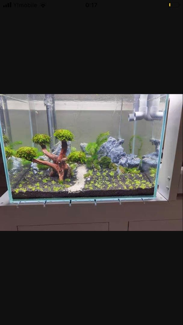 ろ材満タン無料！最安値万能濾過装置、三段式濾過フィルター マットホース送料無料