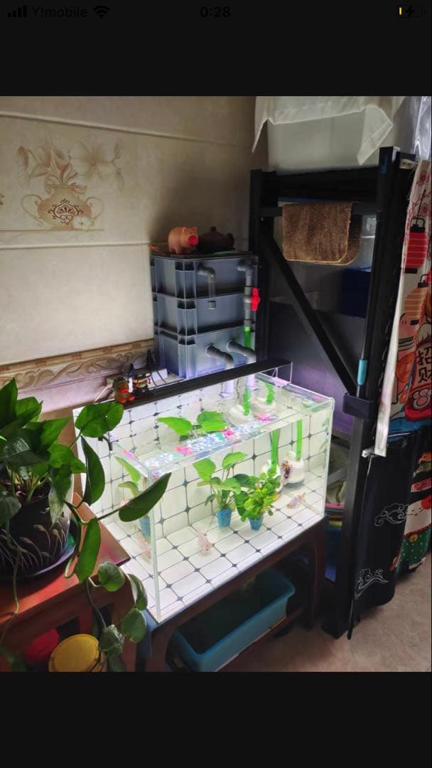 ろ材満タン無料！最安値万能濾過装置、三段式濾過フィルター マットホース送料無料