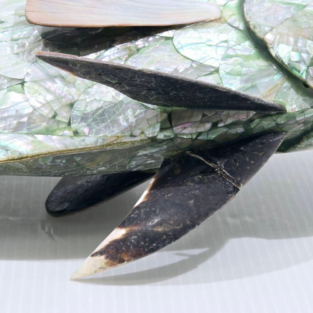 ヴィンテージ アワビ パウア貝 魚の細工 孔雀貝 オブジェ 42cm 希少