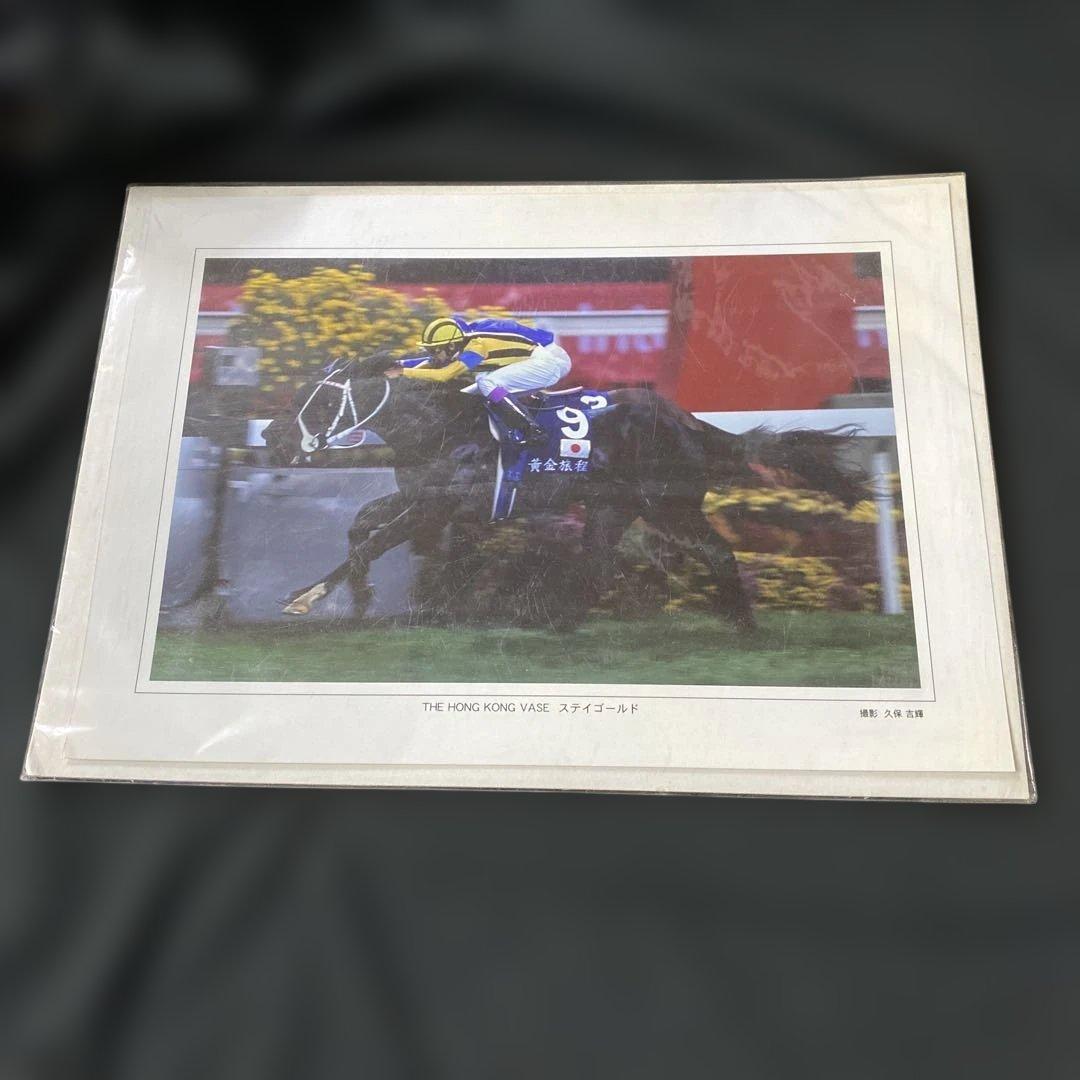 【競馬】ステイゴールド（香港ヴァーズ）デジタルフォト／久保吉輝／JRA