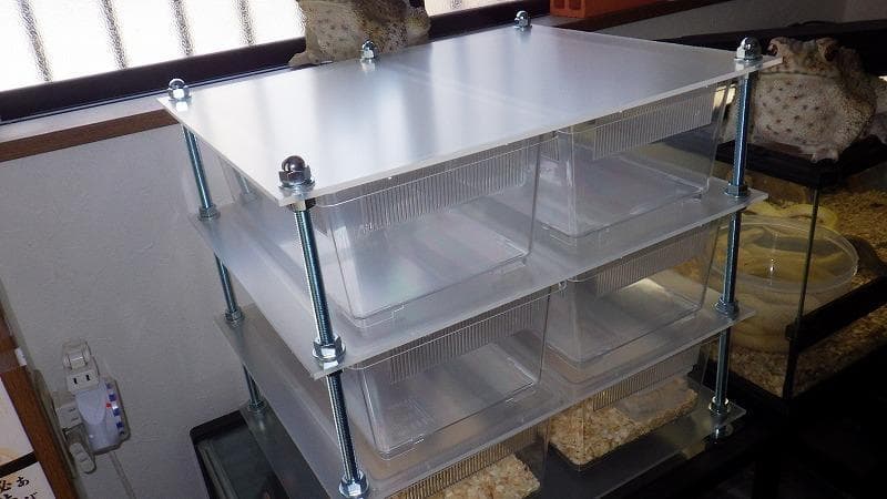 レオパ、ヘビの飼育ケージ　スネークラック