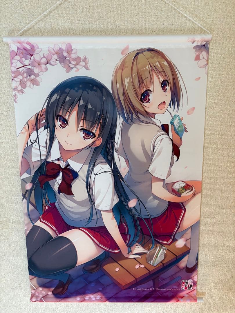 トモセシュンサク、ようこそ実力至上主義の教室へ、レミニセンスタペストリー