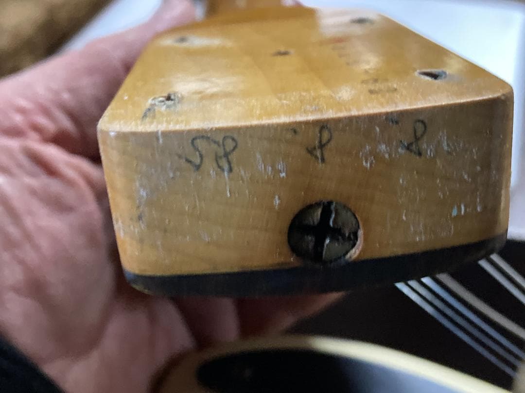 ギター Fender STD-62 8/8/85 Fujigen