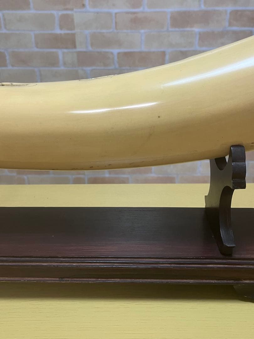 一本牙　象牙風レプリカ　置き物　長さ約81cm 置き台付　樹脂か練り物