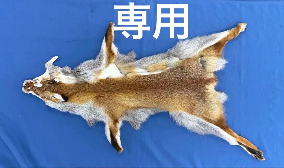 ろく様107【毛皮】赤狐処分No2、顔、脚、尾