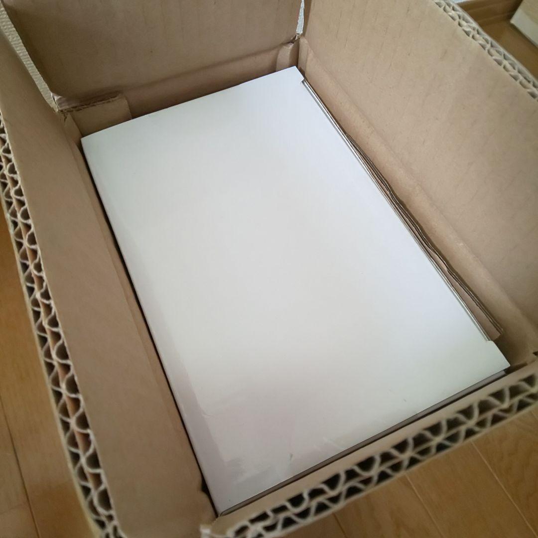 【修正羽根パーツ付】アルベド