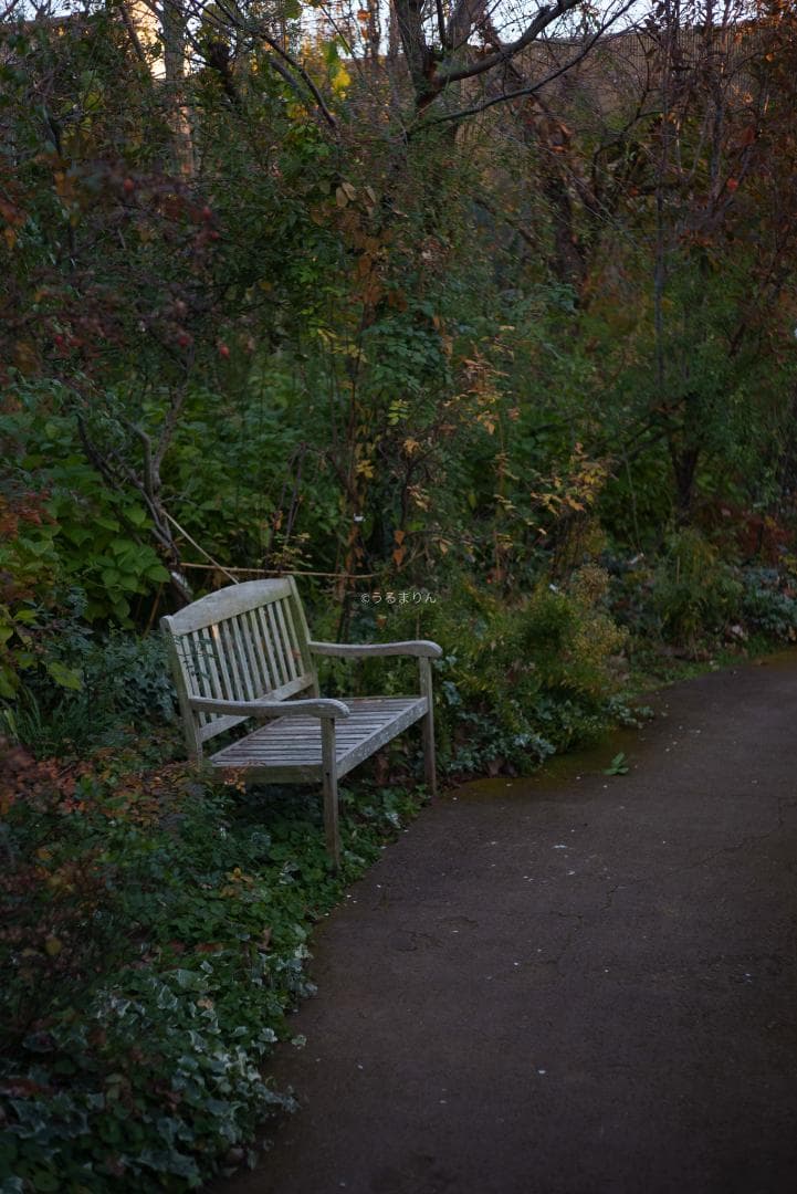 ぬれがらす様現代最小の標準！Elmar-M 50mm F2.8 E39