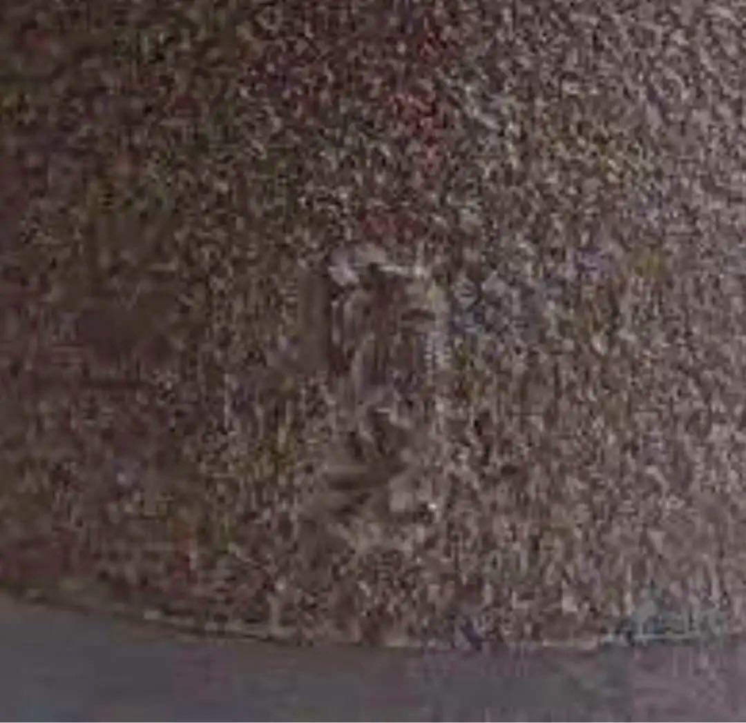 鉄瓶　美品　茶道具　茶釜　佐藤清光作　箱　釡唐銅茶蓋 釜環