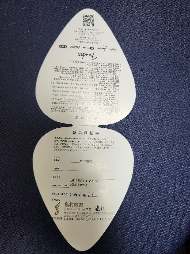 スクワイヤー、テレキャスター