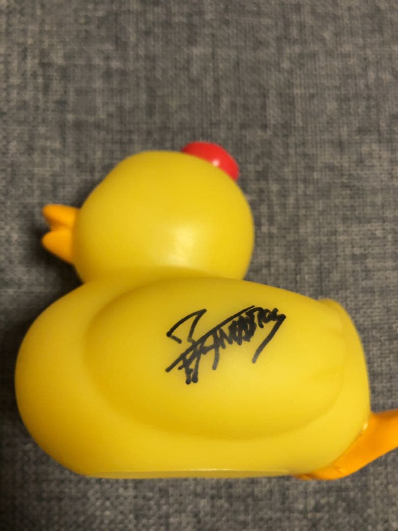 美しい彼サイン入りアヒル隊長　八木勇征　萩原利久　プレゼント