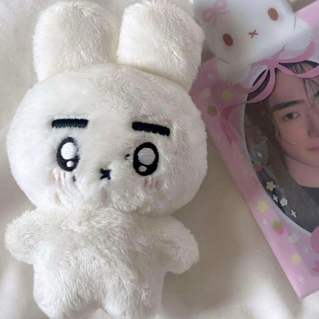 enhypen ソンフン　10cm ぬいぐるみ　新品　マスター