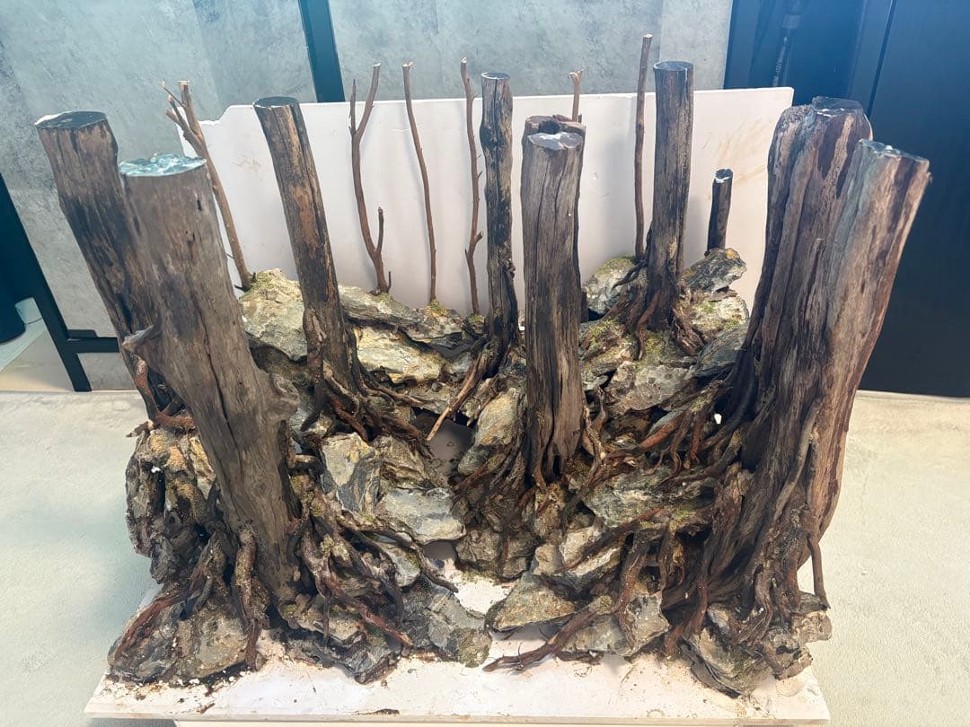 アクアリウム　水槽　レイアウト　流木