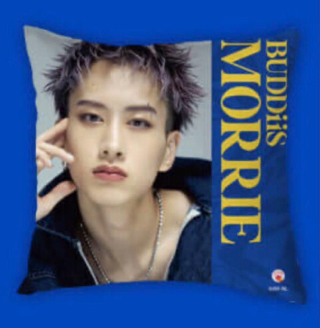 ★BUDDiiS★限定 オリジナルコラボグッズ クッション 全9種コンプセット