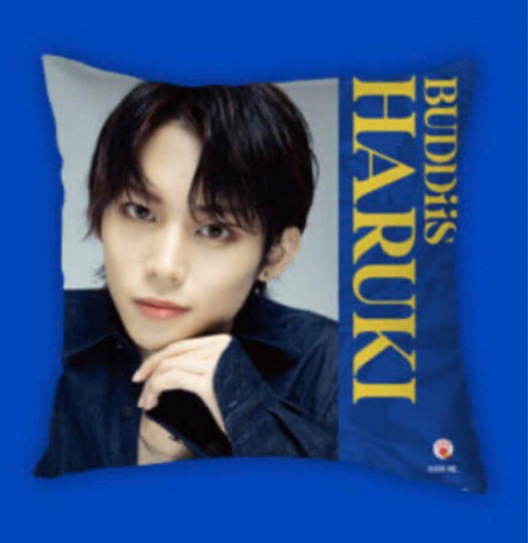 ★BUDDiiS★限定 オリジナルコラボグッズ クッション 全9種コンプセット