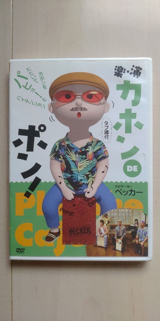 カホン【新品タグ付】専用ケース DVD付 希少 廃盤モデル