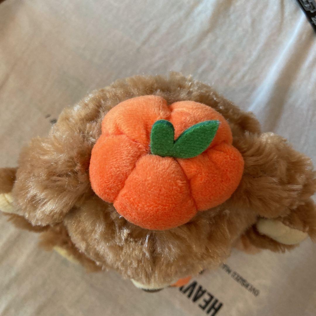 ぬいぐるみ　ユニベアシティ　ディズニー　小物入れ　φ8x5 カボチャ